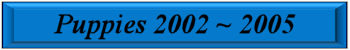2002PuppyButton.jpg