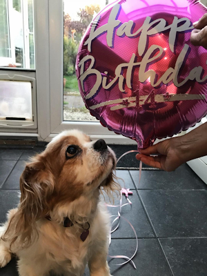 Keira_14th_Birthday.jpg