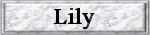 Link to Lily