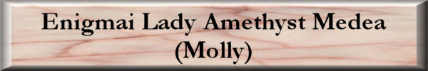 Molly3_JPEG_Button.jpg