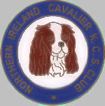 N-Ireland-Badge.jpg