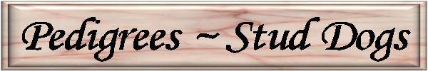Pedigree_Stud-Dogs_Button.jpg