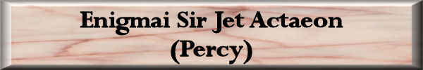 Percy_JPEG_Button.jpg