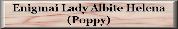 Poppy1_JPEG_Button.jpg