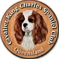 Queensland_Badge.jpg