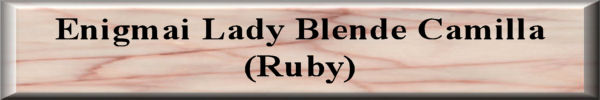 Ruby2_JPEG_Button.jpg