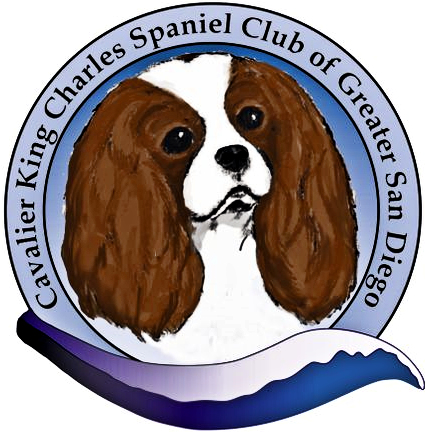 San_Diego_Club_Badge.jpg
