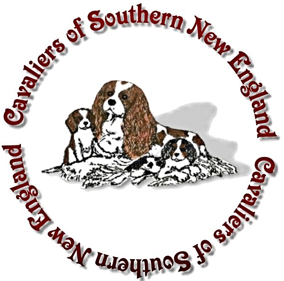 Southern_New_England_Club_Badge.jpg