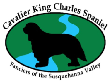 Susquehanna_Valley_Club_Badge.jpg