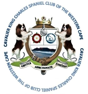 Western_Cape_Club_Badge.jpg
