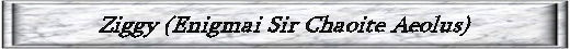 ZiggyRainbowButton.jpg